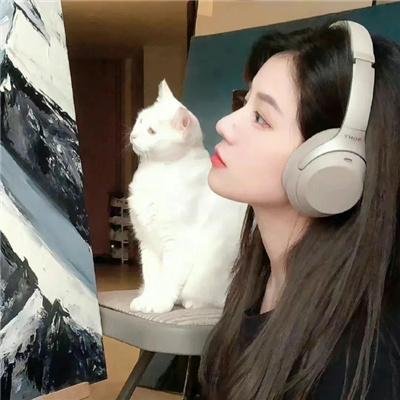 缔创学校